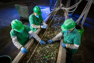 OI – O vidro como aliado da sustentabilidade: reciclagem eterna e inovação para um futuro mais verde