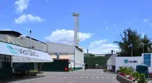 CEO da Verallia confirma início de produção de forno de vidro no Brasil