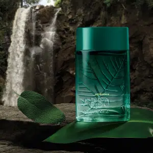 O Boticário apresenta Arbo Atlântica: O frescor da natureza preservada