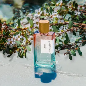 Novo Lançamento da Goldfield & Banks: Pacific Rock Flower